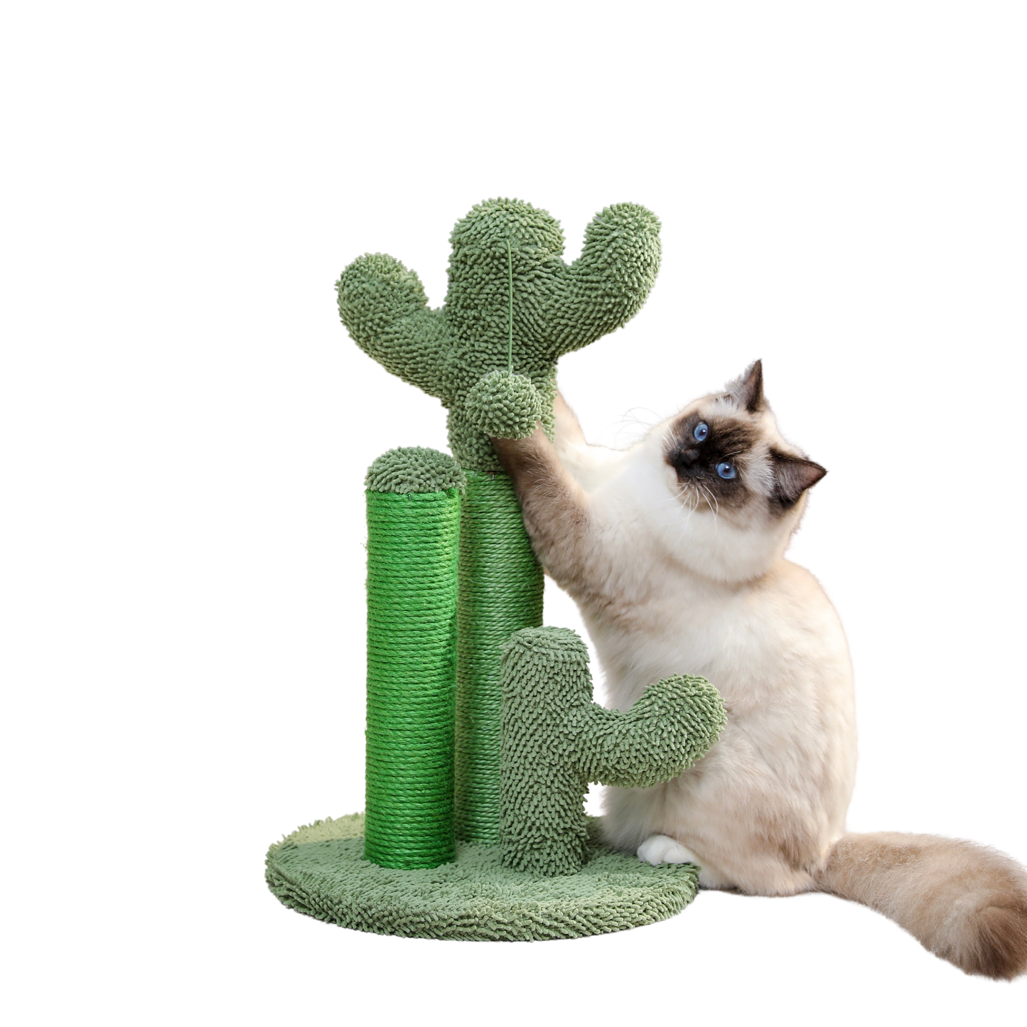 Árvore para gatos Turiza Cactus - Moderna e divertida