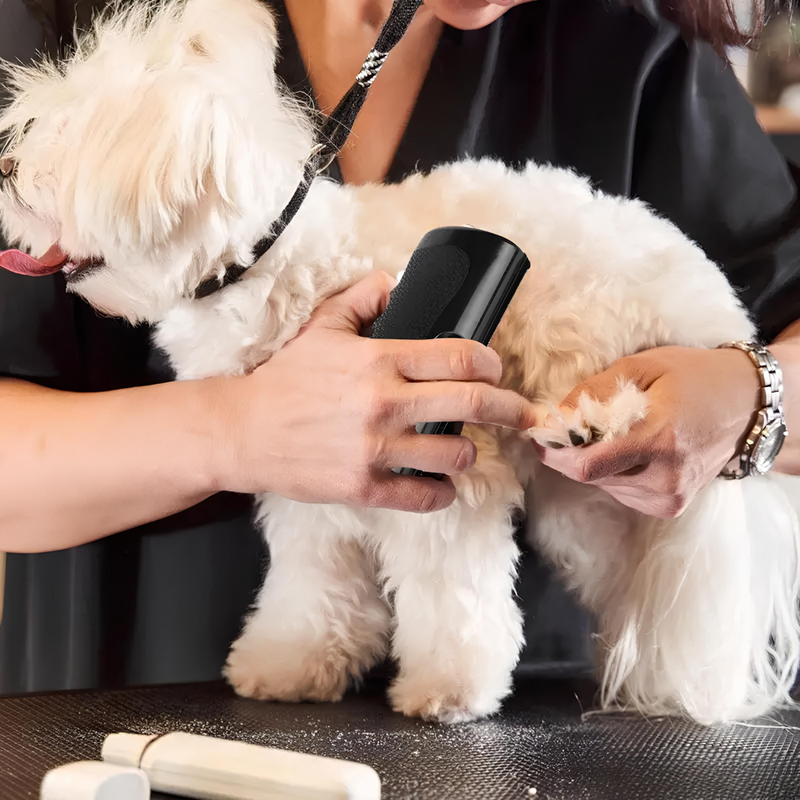Cepillo para perros con peine para subpelo