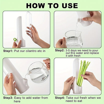 Recipiente de frescura para hierbas y verduras