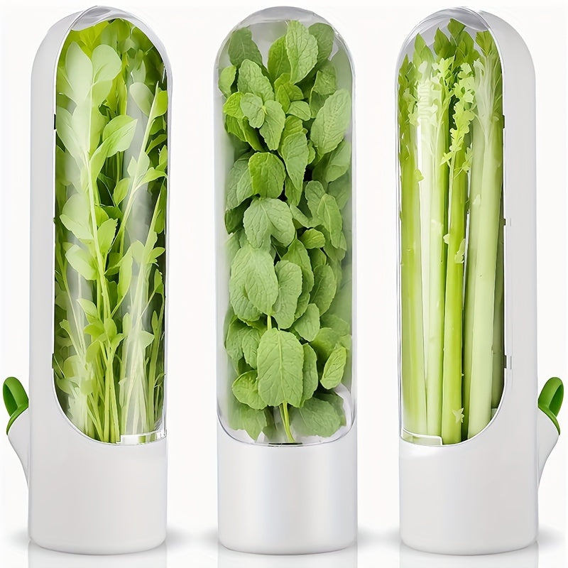 Recipiente de frescura para hierbas y verduras