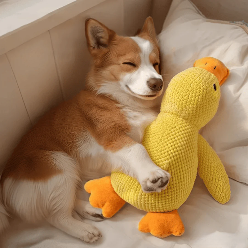 Juguete de pato chillón para perros