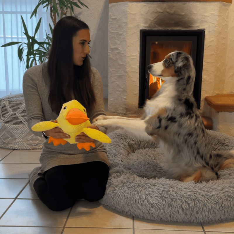 Juguete de pato chillón para perros