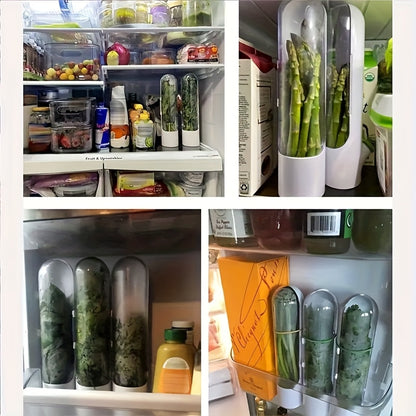 Recipiente de frescura para hierbas y verduras