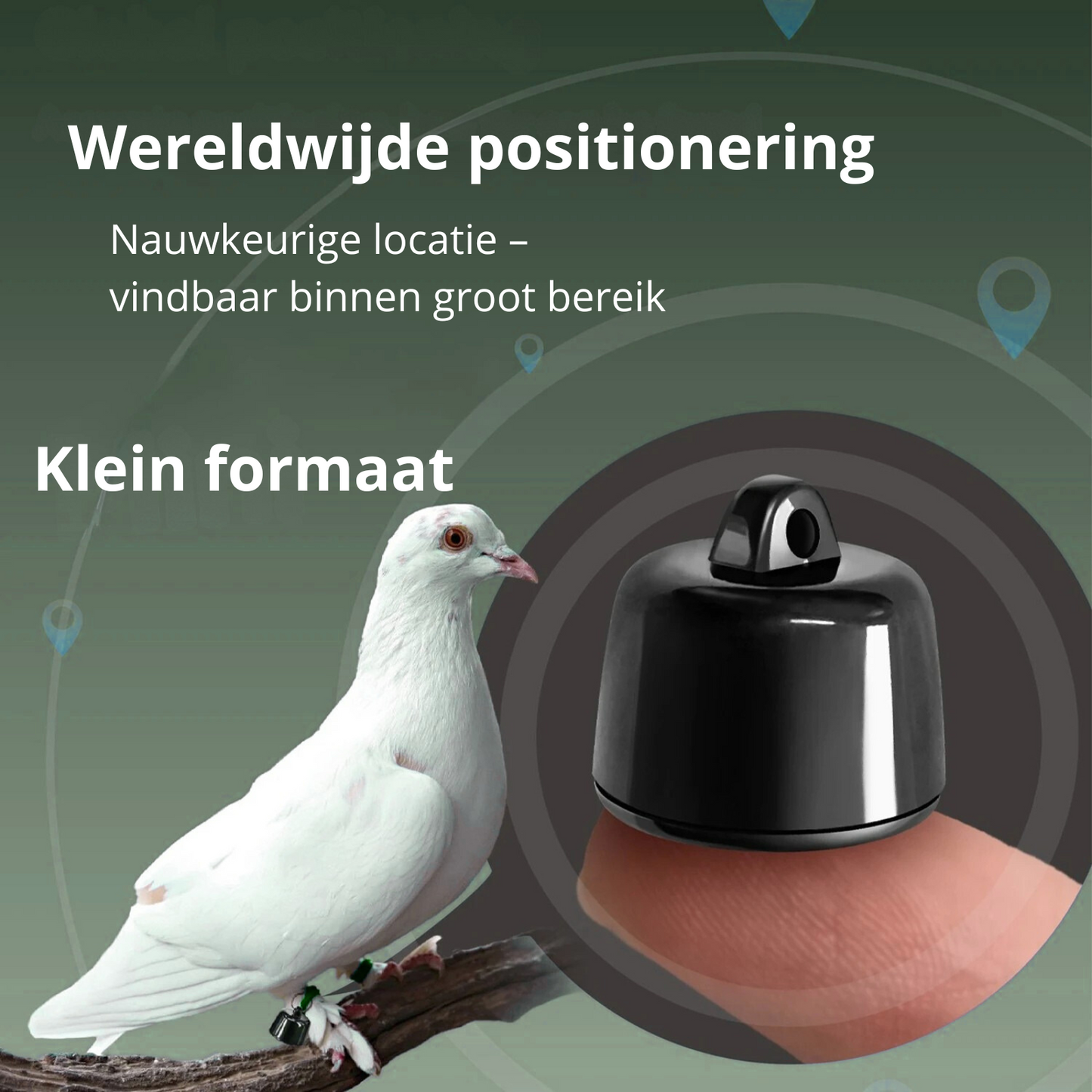 PetTrace mini tracker – Bluetooth uređaj za praćenje za mačke, pse i male kućne ljubimce
