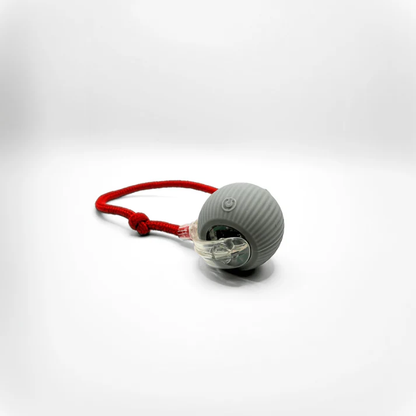 Pelota de juego interactiva para gatos