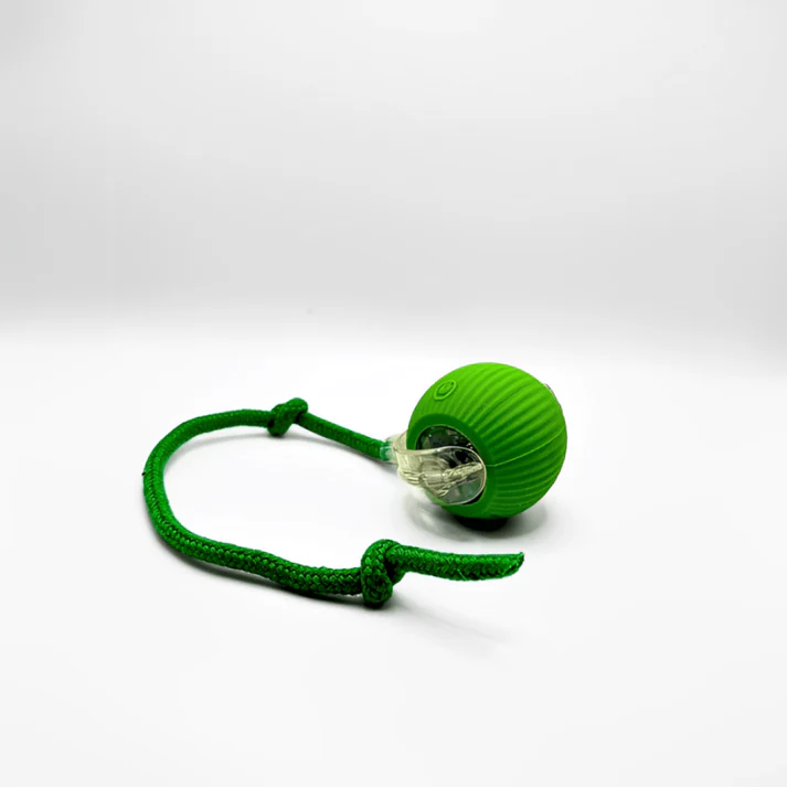 Pelota de juego interactiva para gatos