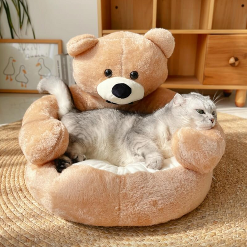 TeddyBear krevet za mačke - Za ultimativnu udobnost i toplinu