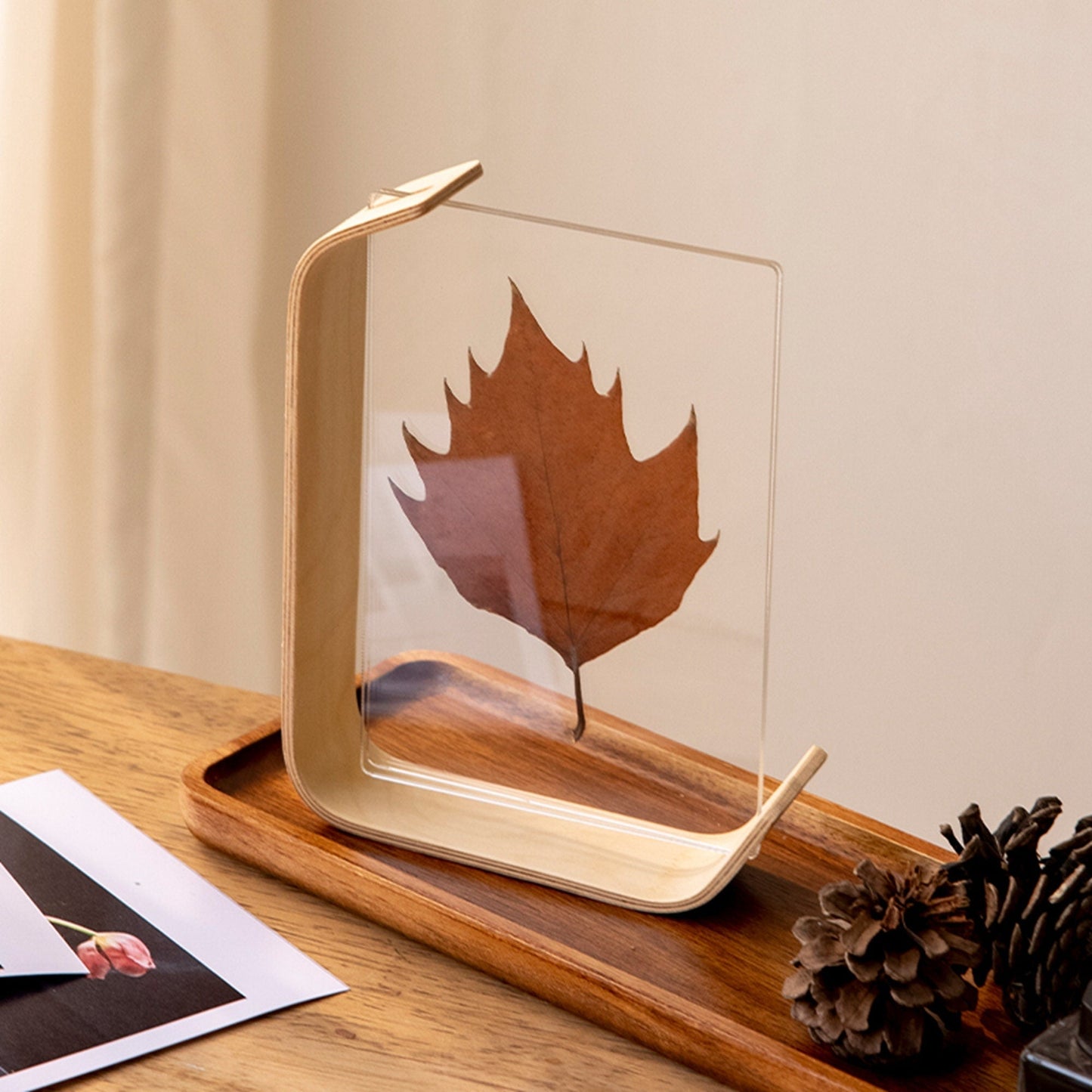 Moldura decorativa para fotografias com placas de acrílico transparentes