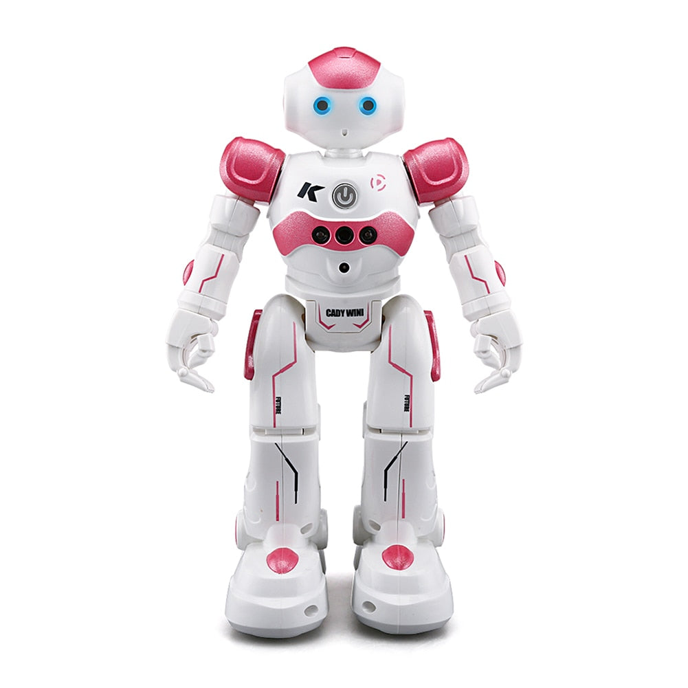 Interaktivni robot s upravljanjem gestama – Poučno i zabavno za djecu