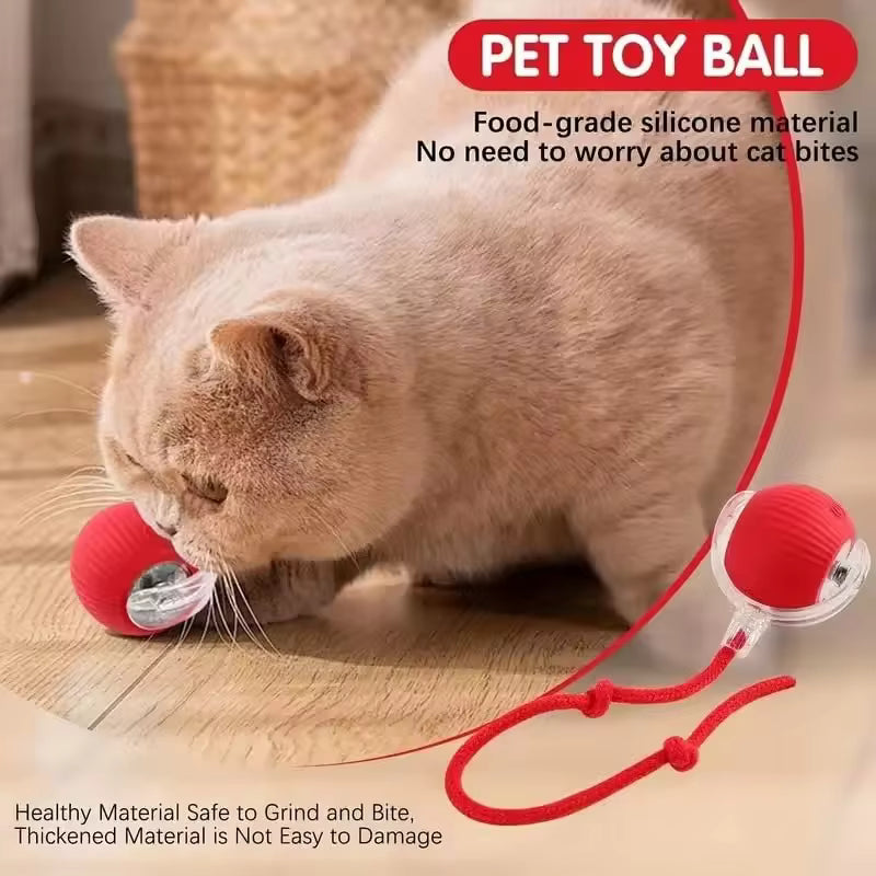 Pelota de juego interactiva para gatos