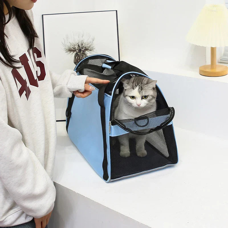 PawVoyager putna torba – Udobno i sigurno na putu s mačkom ili malim psom