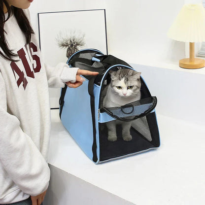 PawVoyager putna torba – Udobno i sigurno na putu s mačkom ili malim psom