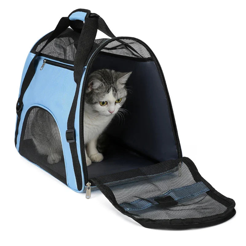 PawVoyager putna torba – Udobno i sigurno na putu s mačkom ili malim psom