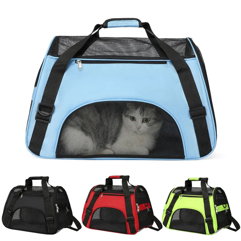 PawVoyager putna torba – Udobno i sigurno na putu s mačkom ili malim psom