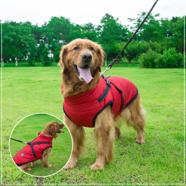 Chaqueta acolchada para perros con arnés integrado