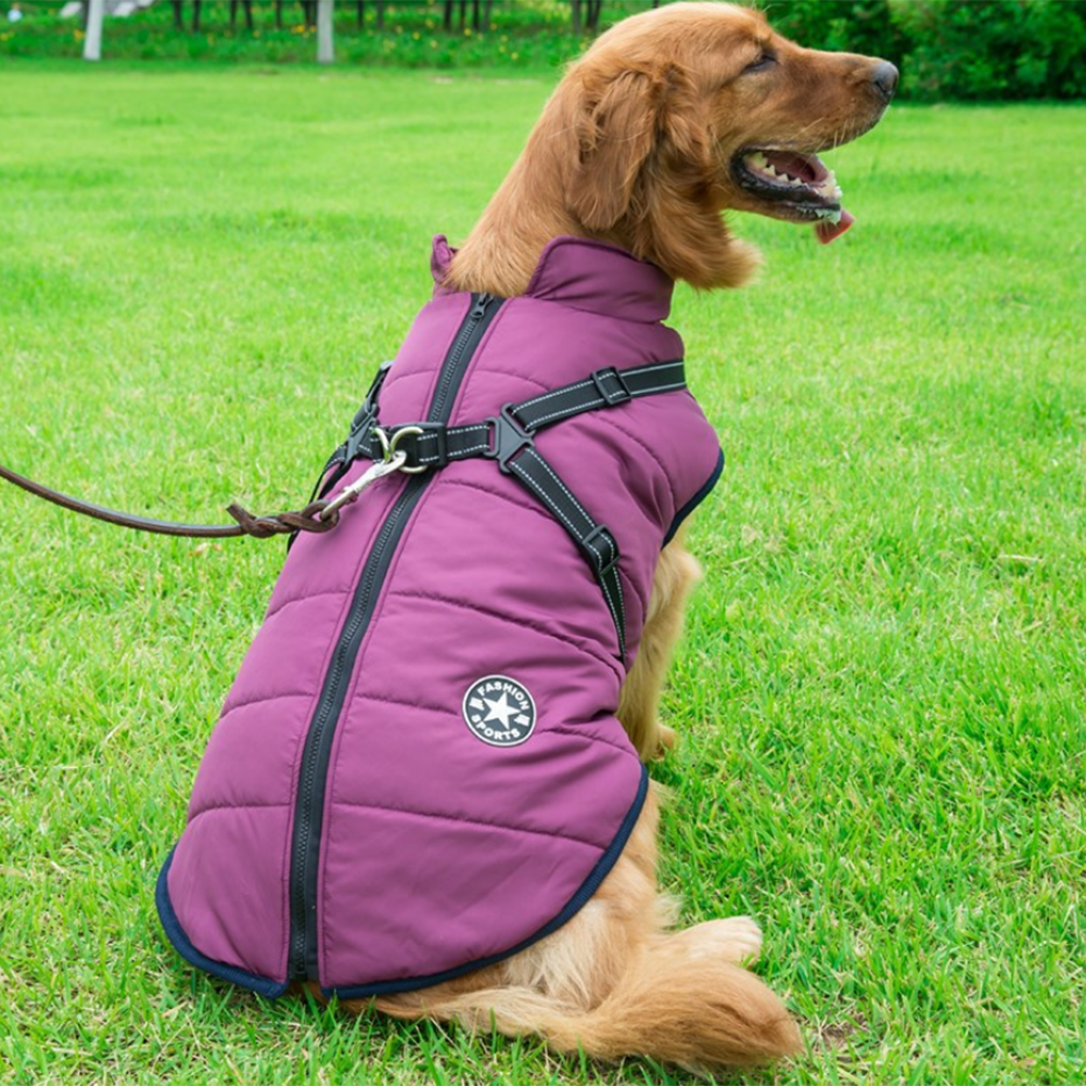 Chaqueta acolchada para perros con arnés integrado