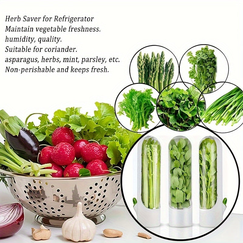 Recipiente de frescura para hierbas y verduras