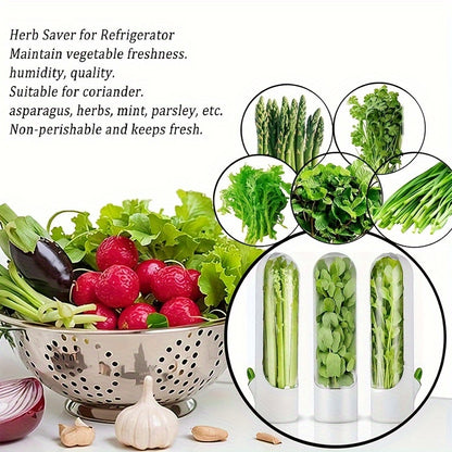 Recipiente de frescura para hierbas y verduras
