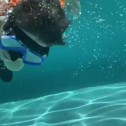 AquaClear set za ronjenje – nepropusan, udoban i s velikim vidnim poljem