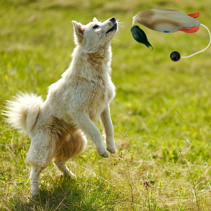 Mallard Retriever – Izdržljiva plastična igračka za trening pataka s odbijanjem