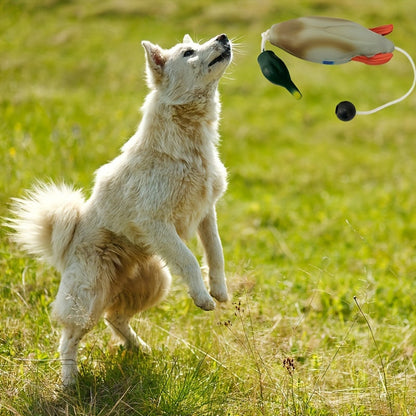 Mallard Retriever – Izdržljiva plastična igračka za trening pataka s odbijanjem