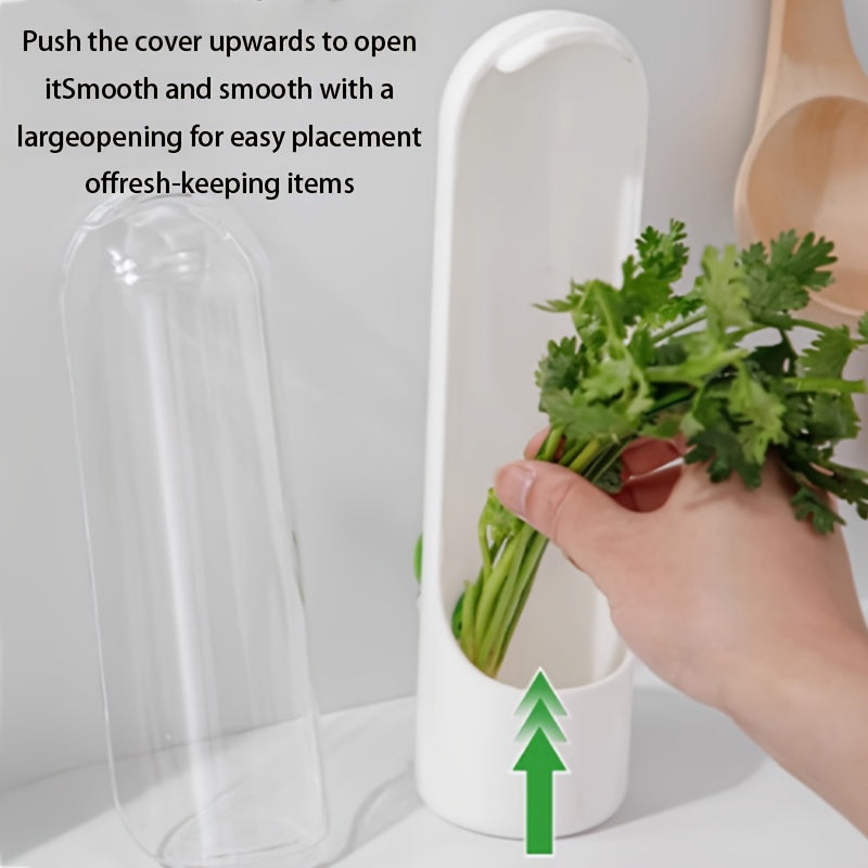 Recipiente de frescura para hierbas y verduras