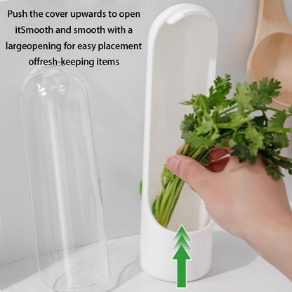 Recipiente de frescura para hierbas y verduras