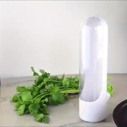 Recipiente de frescura para hierbas y verduras