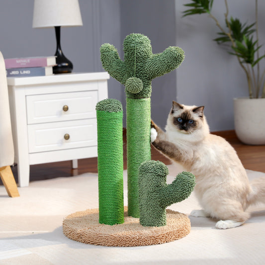Turiza Katzenbaum Cactus - Moderan i razigran