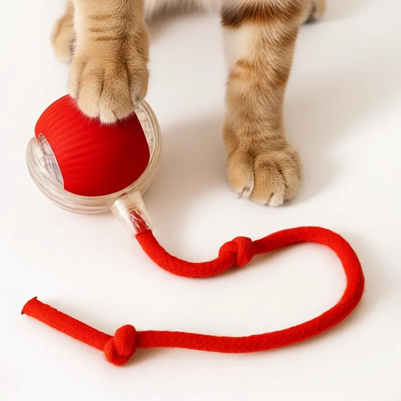 Pelota de juego interactiva para gatos