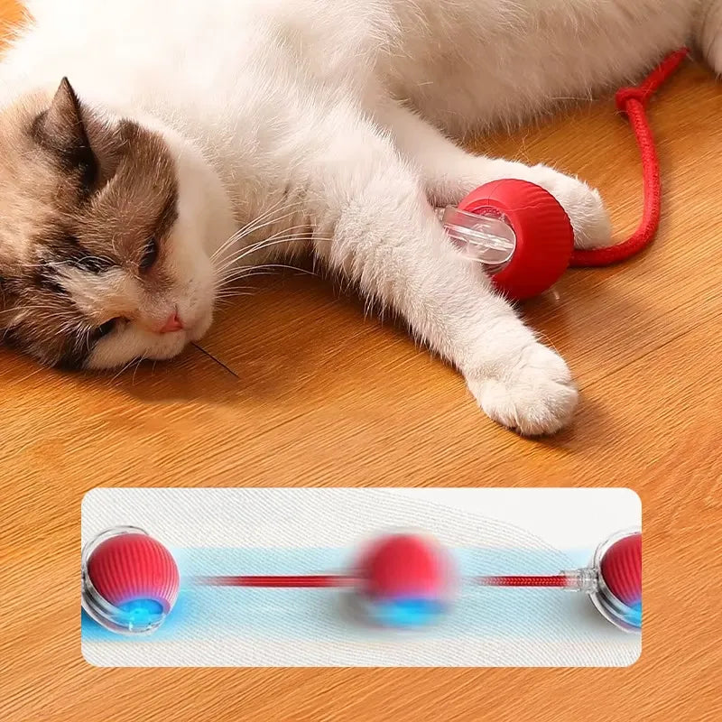 Pelota de juego interactiva para gatos