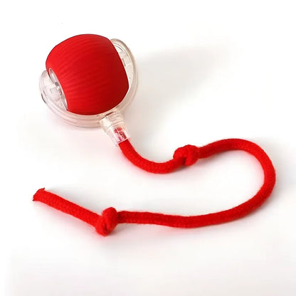 Pelota de juego interactiva para gatos