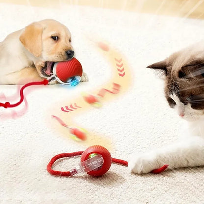 Pelota de juego interactiva para gatos