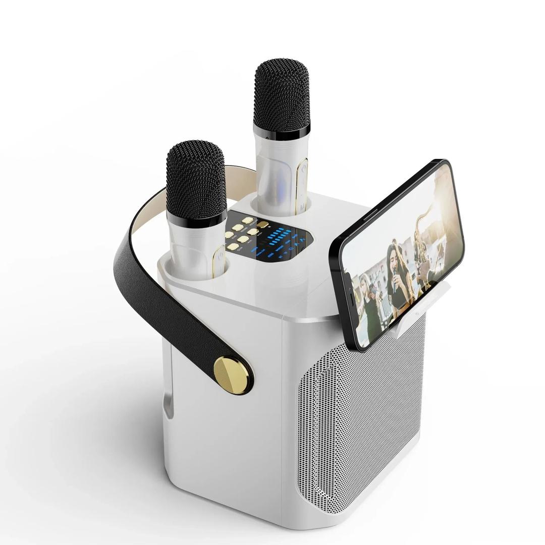 Tragbarer Bluetooth-Karaoke-Lautsprecher mit zwei Mikrofonen