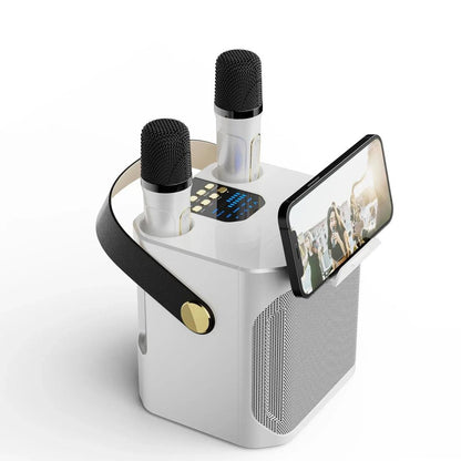 Tragbarer Bluetooth-Karaoke-Lautsprecher mit zwei Mikrofonen