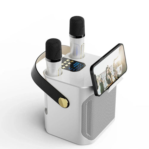 Tragbarer Bluetooth-Karaoke-Lautsprecher mit zwei Mikrofonen