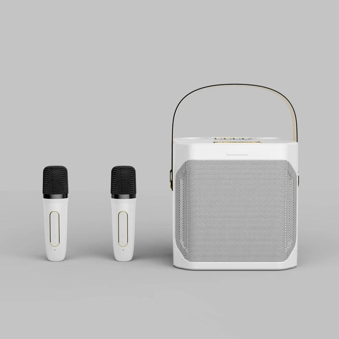 Tragbarer Bluetooth-Karaoke-Lautsprecher mit zwei Mikrofonen