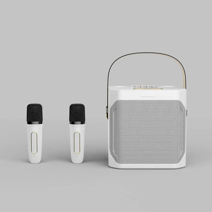 Tragbarer Bluetooth-Karaoke-Lautsprecher mit zwei Mikrofonen