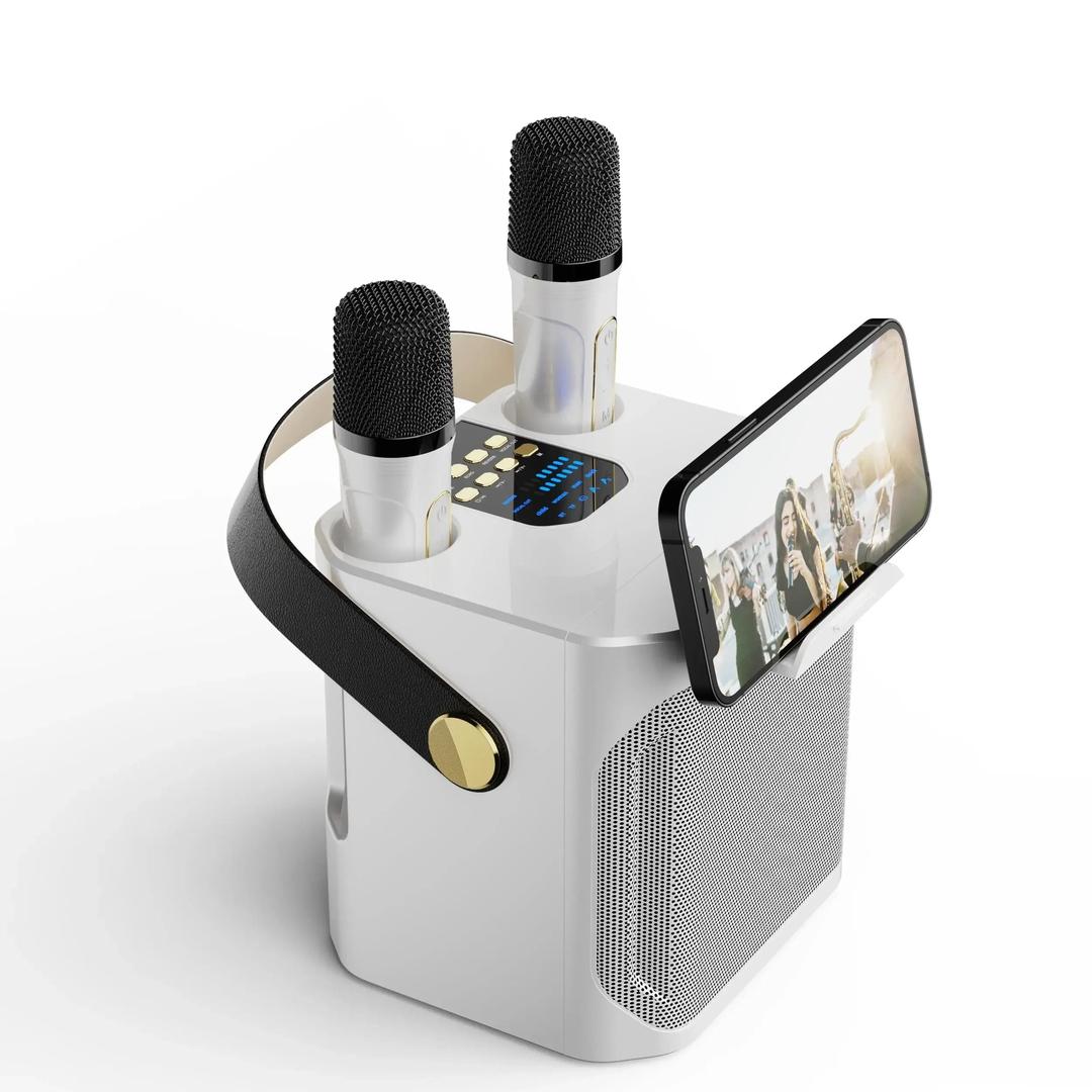 Tragbarer Bluetooth-Karaoke-Lautsprecher mit zwei Mikrofonen