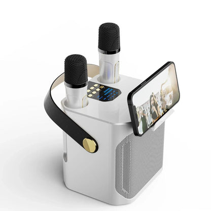 Tragbarer Bluetooth-Karaoke-Lautsprecher mit zwei Mikrofonen