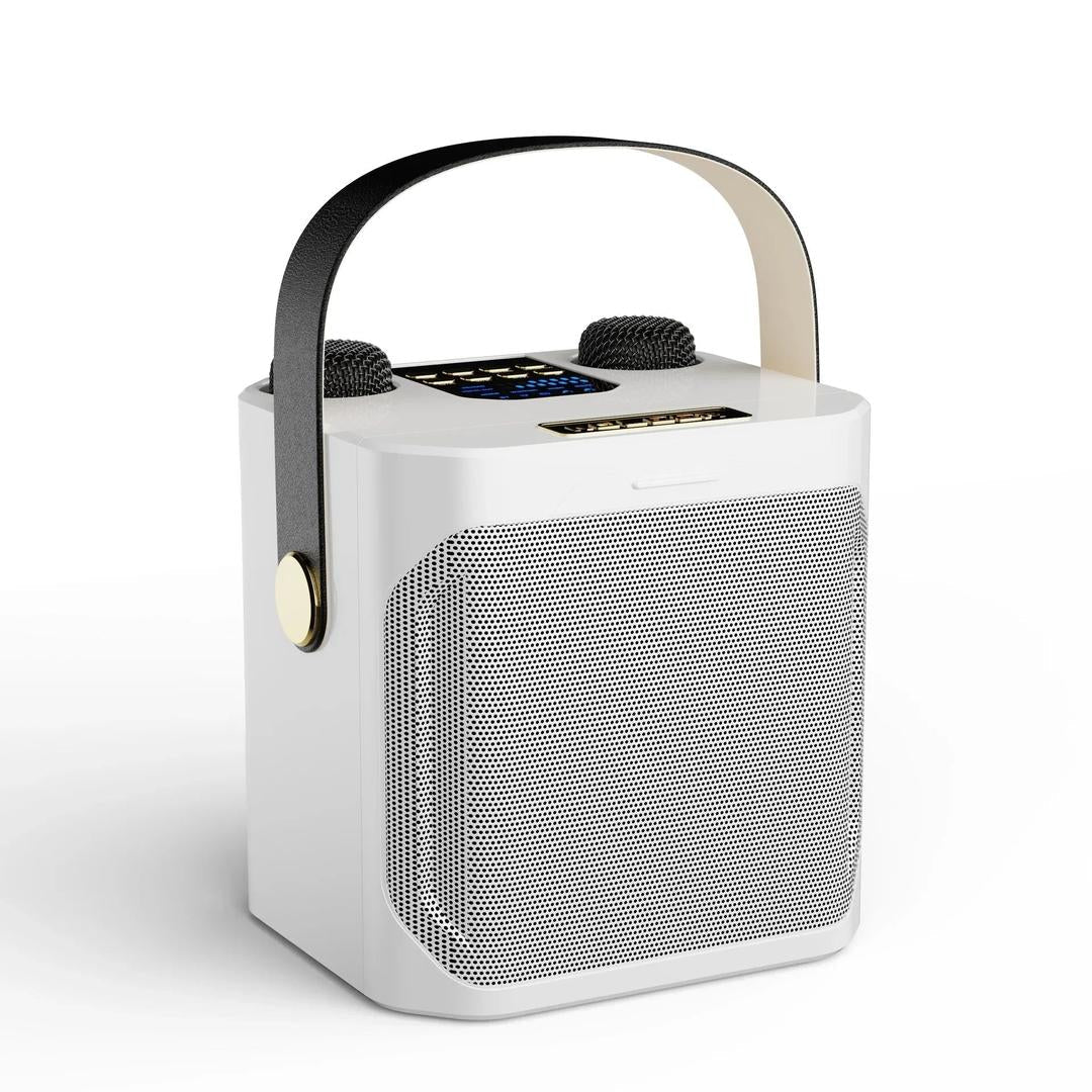 Tragbarer Bluetooth-Karaoke-Lautsprecher mit zwei Mikrofonen