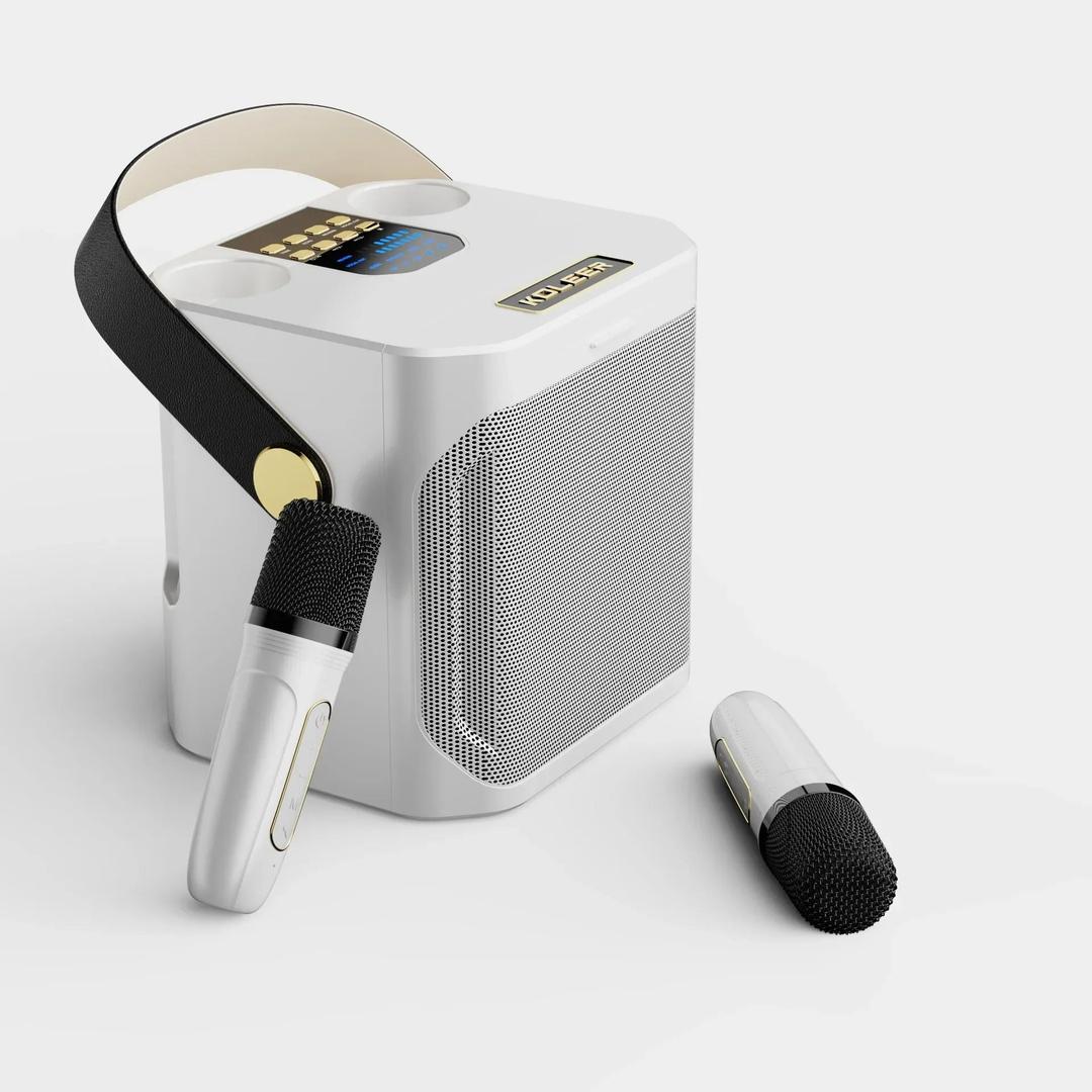 Tragbarer Bluetooth-Karaoke-Lautsprecher mit zwei Mikrofonen