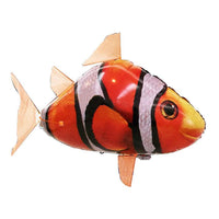 Nemo
